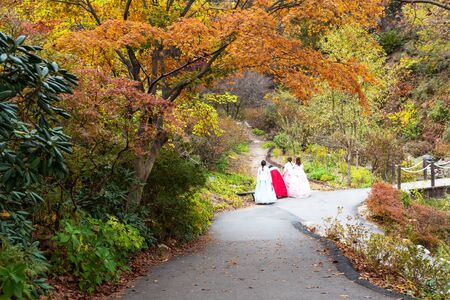 Korean women with hanbok with during autumn season.