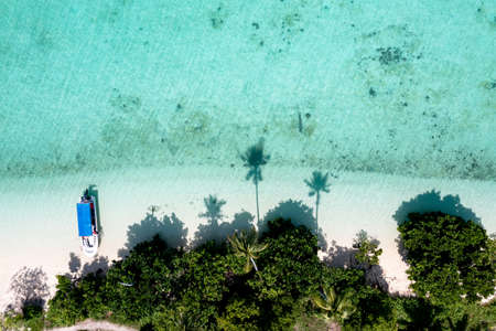 Drone point of view of tropical island Maiga with palm trees and turquoise colored sea in Semporna,...