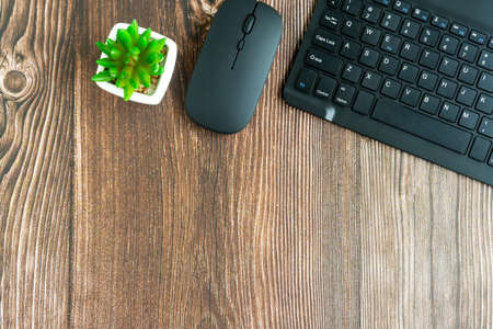 Desk with computer keyboard, mouse and potted plantの写真素材
