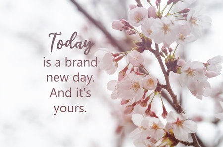 Flower picture with inspirational quotes Today is a brand new day. And its yours.の写真素材