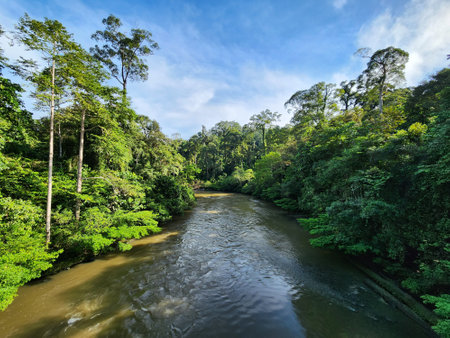Danum River view Surrounded by tropical jungle in Lahad Datuの写真素材