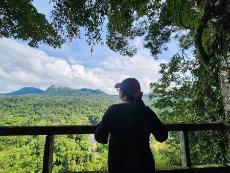 Woman looking over jungle view in Danum Valley view point in Lahad Datu Sabahの写真素材