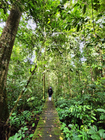 Woman walking on a walkway in Danum Valley Jungle in Lahad Datuの写真素材