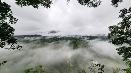 High angle view of foggy scenery in Danum Valley Lahad Datu Sabahの写真素材