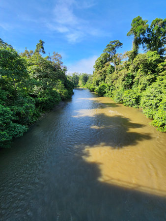 Danum River view Surrounded by tropical jungle in Lahad Datuの写真素材