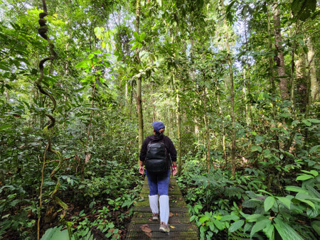 Woman walking on a walkway in Danum Valley Jungle in Lahad Datuの写真素材