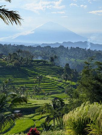 Jatiluwih Rice Terraces with Mt. Agung at the backgroundの写真素材