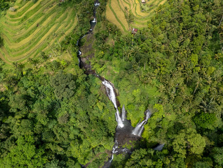 Aerial view of rice terrace and waterfalls in Lemukih Village Sawan Buleleng north Baliの写真素材