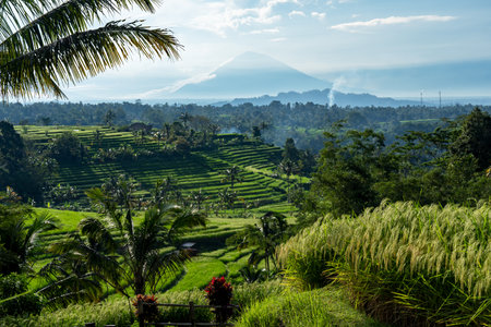 Jatiluwih Rice Terraces with Mt. Agung at the backgroundの写真素材