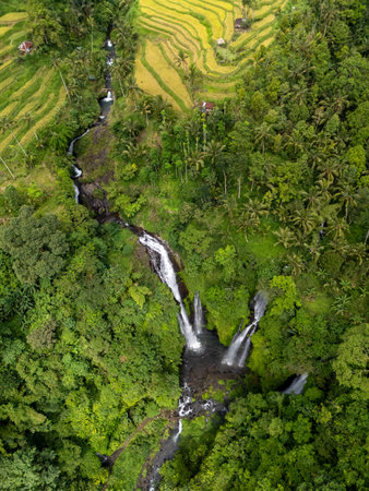 Aerial view of rice terrace and waterfalls in Lemukih Village Sawan Buleleng north Baliの写真素材