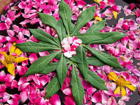 Top view of tropical flower decoration in Bali Indonesia