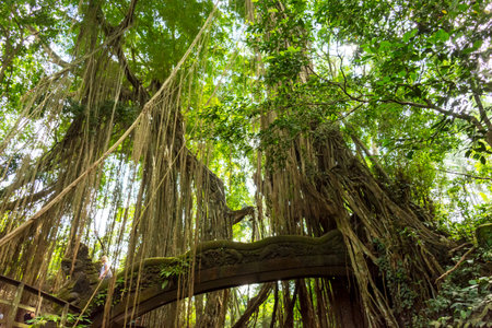 Dragon Bridge in Monkey Forest Sanctuary, Ubud, Bali, Indonesia