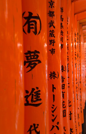 FUSHIMI INARI TAISHA, KYOTO, JAPAN - JUNE 20, 2015: Red Tori Gate at Fushimi Inari Shrine in Kyoto, Japanのeditorial素材