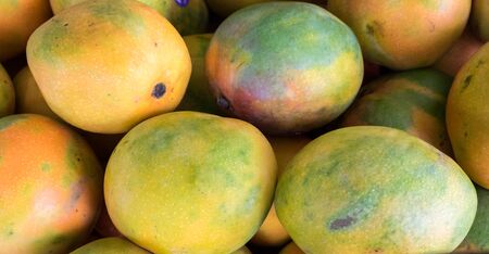 New harvest mango for sale at city marketの写真素材