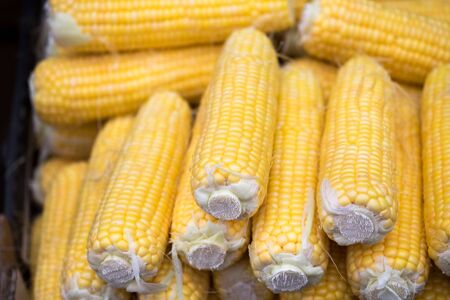 Fresh yellow corn for sale at farmers market