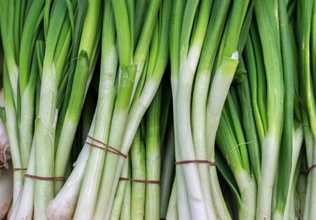 Fresh organic green onion sold at city farmers marketの写真素材