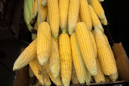 Fresh yellow corn in box at city market for sale