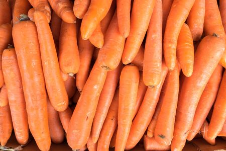 Carrots for sale at city farmers marketの写真素材