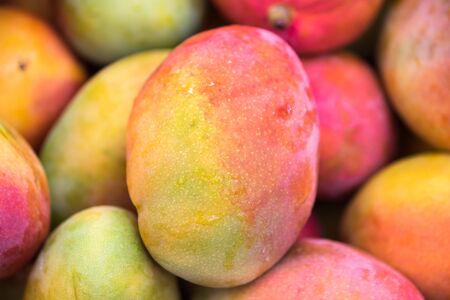 Backround of new harvest mango for sale at city marketの写真素材