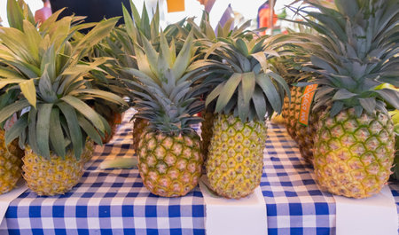 TEL-AVIV, ISRAEL - JANUARY 11, 2019: Big organic pineapples sold on farmers marketのeditorial素材