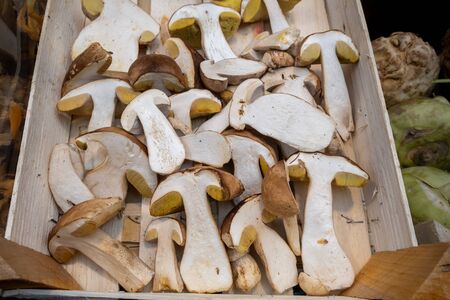 Boletus edulis or cep, penny bun, porcino or porcini mushrooms for sale at the Bolzano market. Italyの写真素材