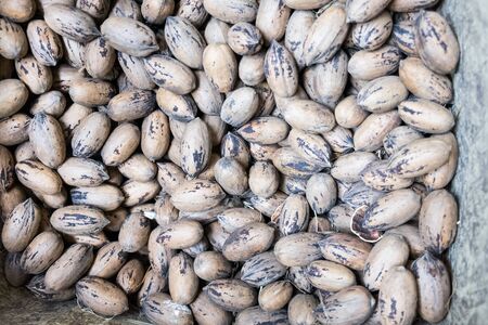 pecan walnuts sold at local city market