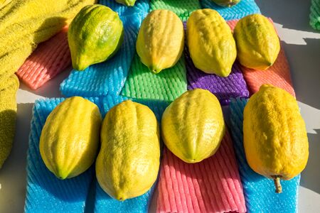 Etrog - is the yellow citron or Citrus medica used by Jewish people during holiday of Sukkot, for sale at special street marketの写真素材