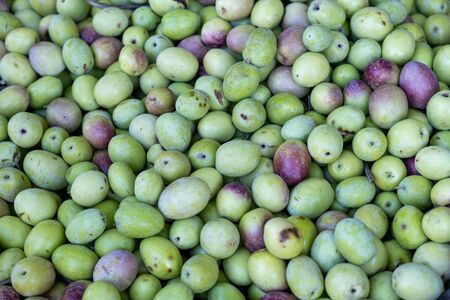 The new harvest green olives sold on farmers marketの写真素材