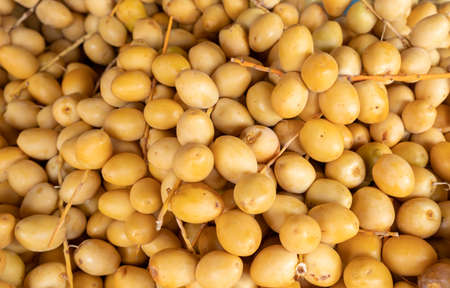 Ripe raw yellow dates for sale at the local city farmers market