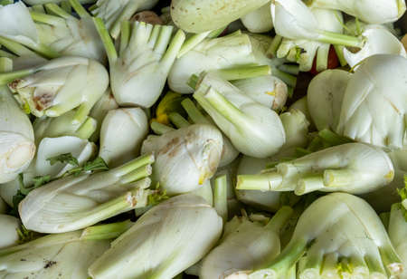 Foeniculum or fennel for sale at city local marketの写真素材