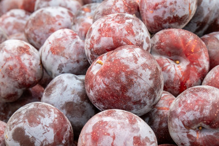 The new harvest ripe big plums sold at local city farmers marketの写真素材