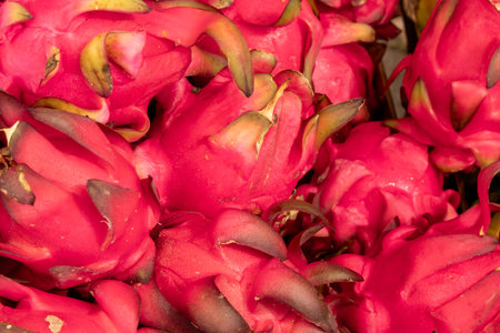 The Pitaya or dragon fruit for sale at the local city food marketの写真素材
