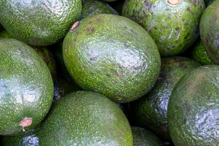 Organic avocado sold at city farmers marketの写真素材