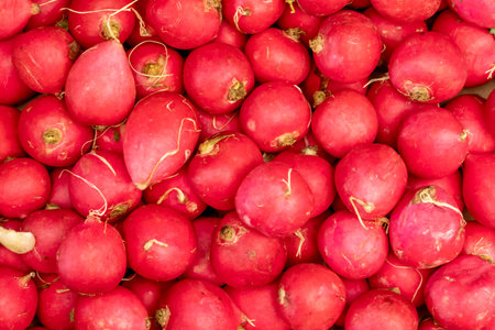 radish for sale at the local city farmers marketの写真素材
