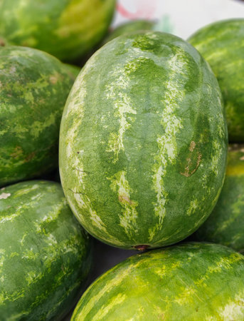 The new harvest watermelons sold at local farmers market