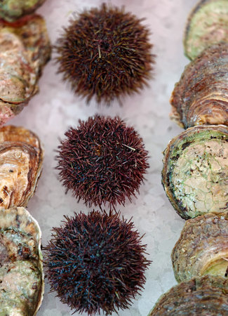 Oysters and sea urchins are sold at a fish market in Bergen, Norway.