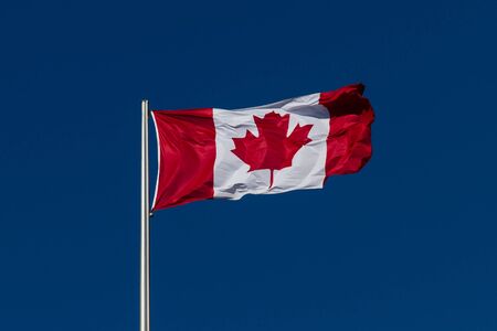 Flag of Canada in strong wind in front of a deep blue sky