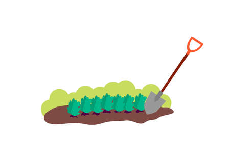 Patch of brown soil with plants and shovel - cartoon piece of groundのイラスト素材