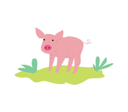 Cute pink pig or piglet character or icon, flat vector illustration isolated.のイラスト素材