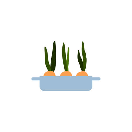 Growing onion in long pot with ground. Green leaf and bulb, fresh organic plant food. Flat cartoon vector illustration isolated on a white background.のイラスト素材