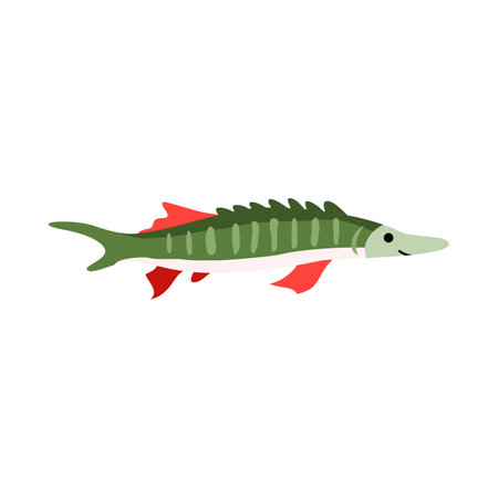Sturgeon fish isolated icon. Animal of wildlife freshwater rivers. Luxury food, catch of fisherman. Flat vector illustration on white background, element for logo, label or menu.のイラスト素材