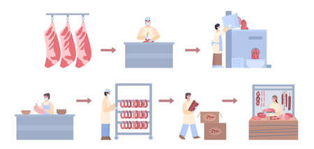 Meat factory for processing from raw beef to ready food a vector infographics.
