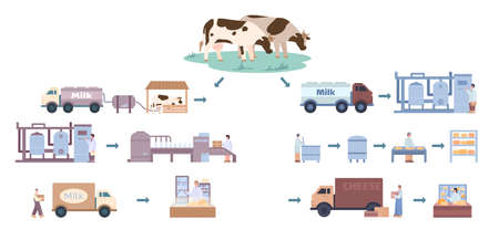 Cheese and milk production process on factory with workers and equipment.のイラスト素材