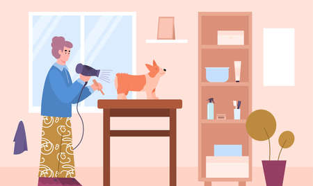Grooming salon interior with barber brushing a dog, cartoon vector illustration.のイラスト素材