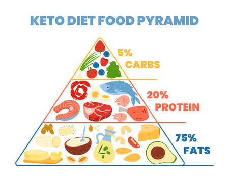 Keto diet food pyramid of eating concept, flat vector illustration isolated.のイラスト素材