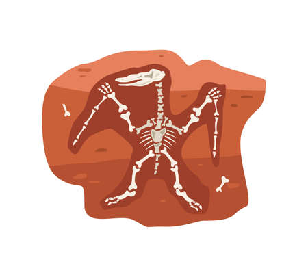Archaeological fossil with dinosaurs skeleton flat vector illustration isolated.のイラスト素材