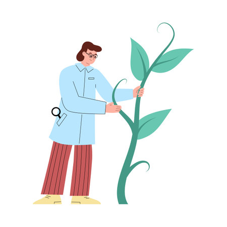 Agronomist with a plant, vector flat illustration on a white background.のイラスト素材