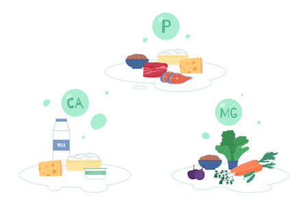 Minerals P, Ca, fortified food, flat cartoon vector illustration isolated.のイラスト素材