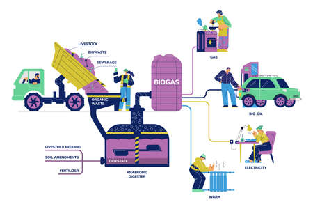 Biogas division diagram with digester generating gas fuel, flat vector isolated.のイラスト素材