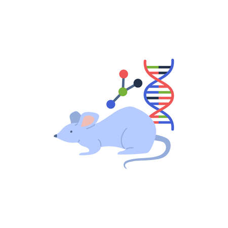 Mouse with DNA for genetic and bioengineering, flat vector illustration isolated.のイラスト素材